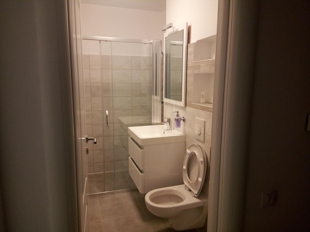 Lexy'S Apartment Брашов Екстер'єр фото