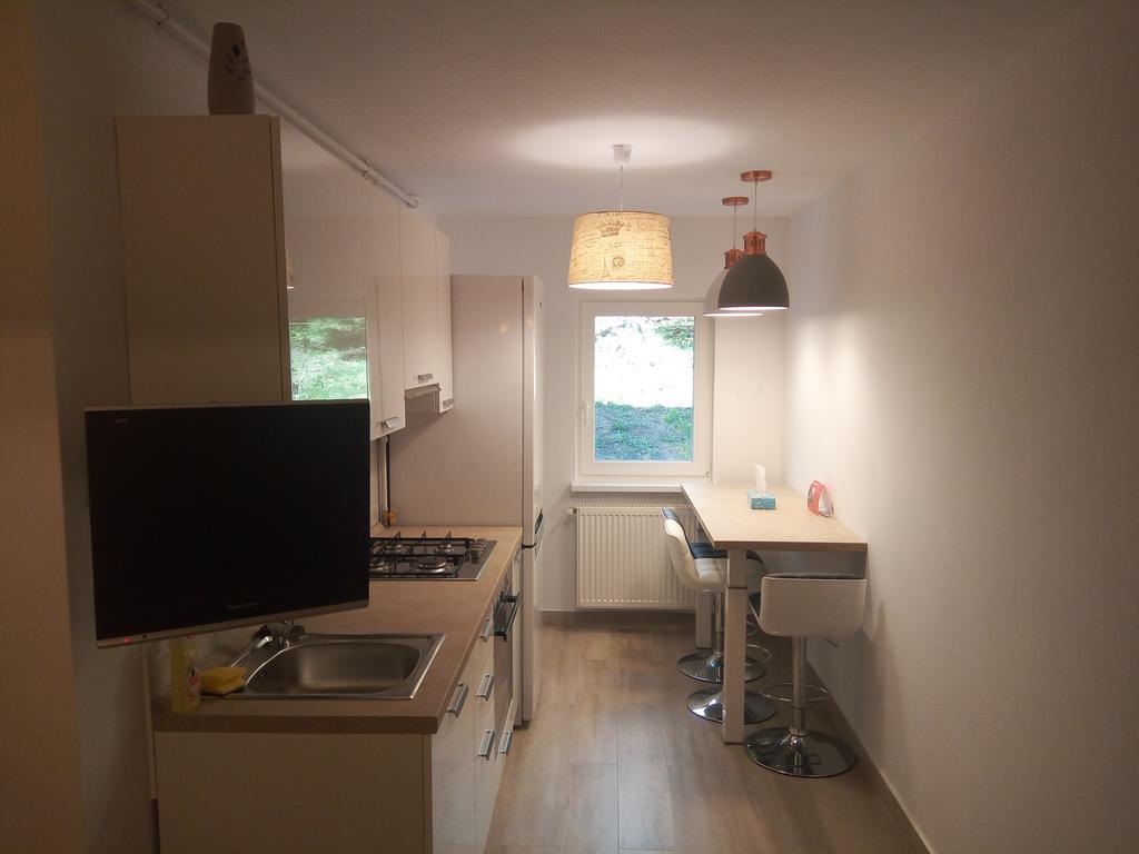 Lexy'S Apartment Брашов Екстер'єр фото
